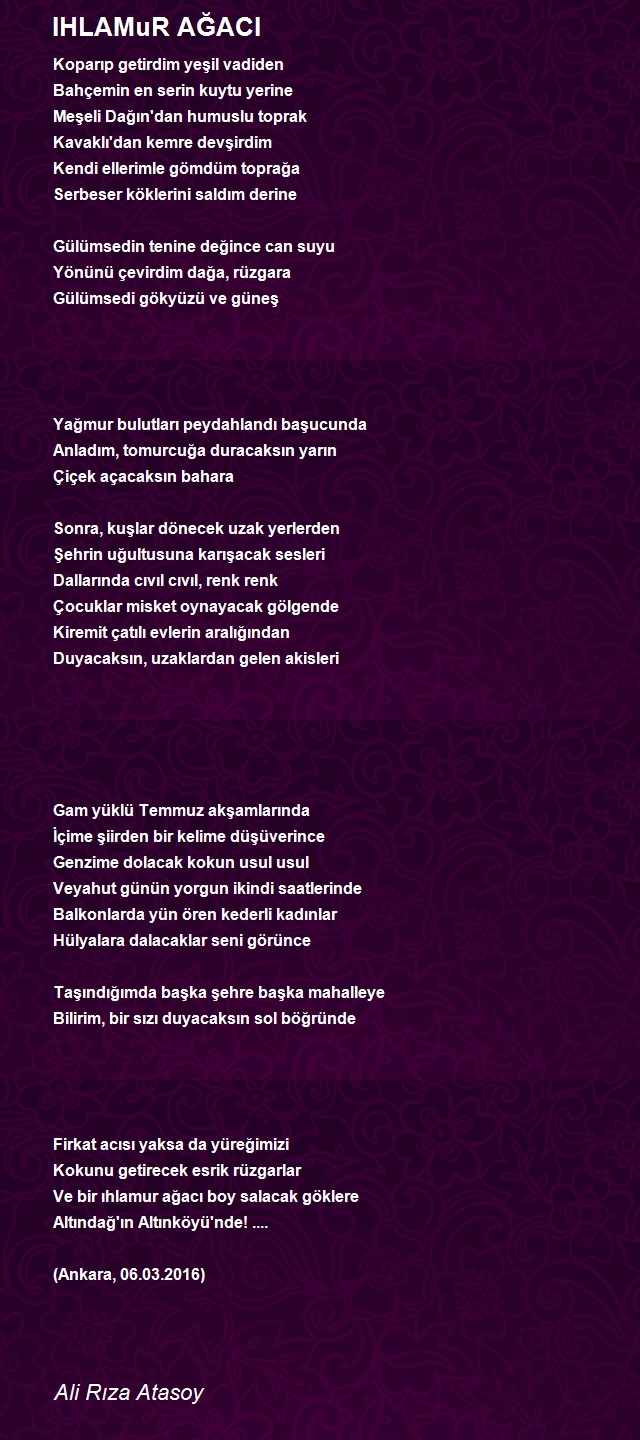 Ali Rıza Atasoy