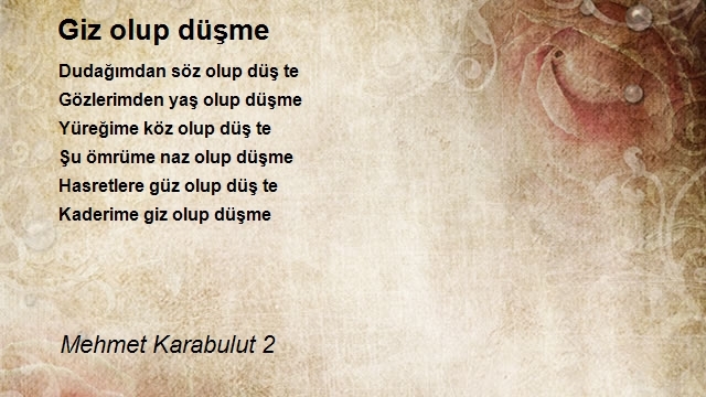 Mehmet Karabulut 2