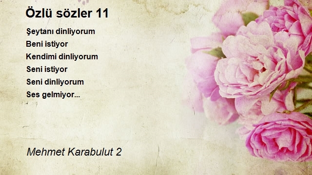 Mehmet Karabulut 2