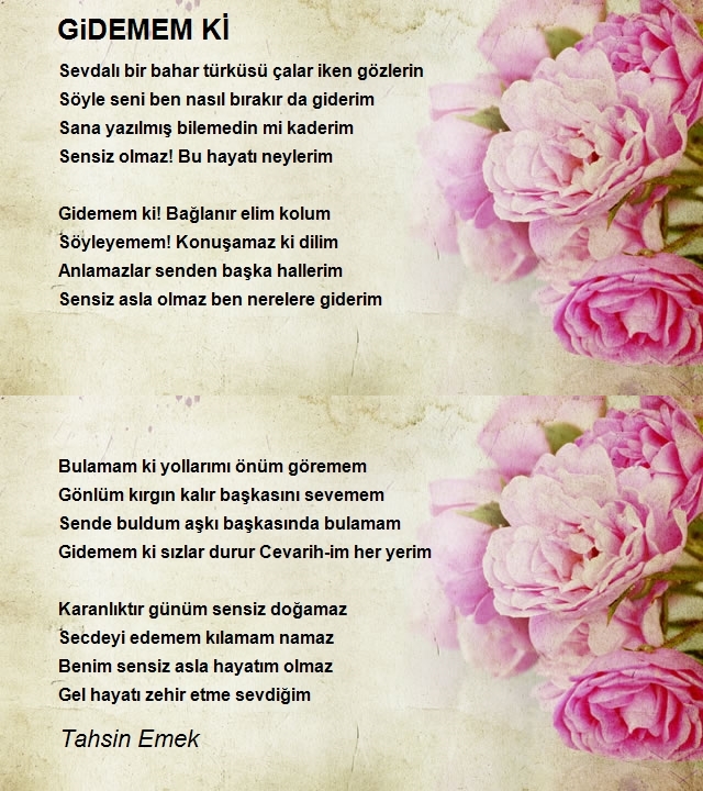 Tahsin Emek