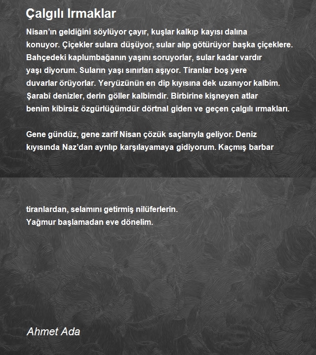 Ahmet Ada