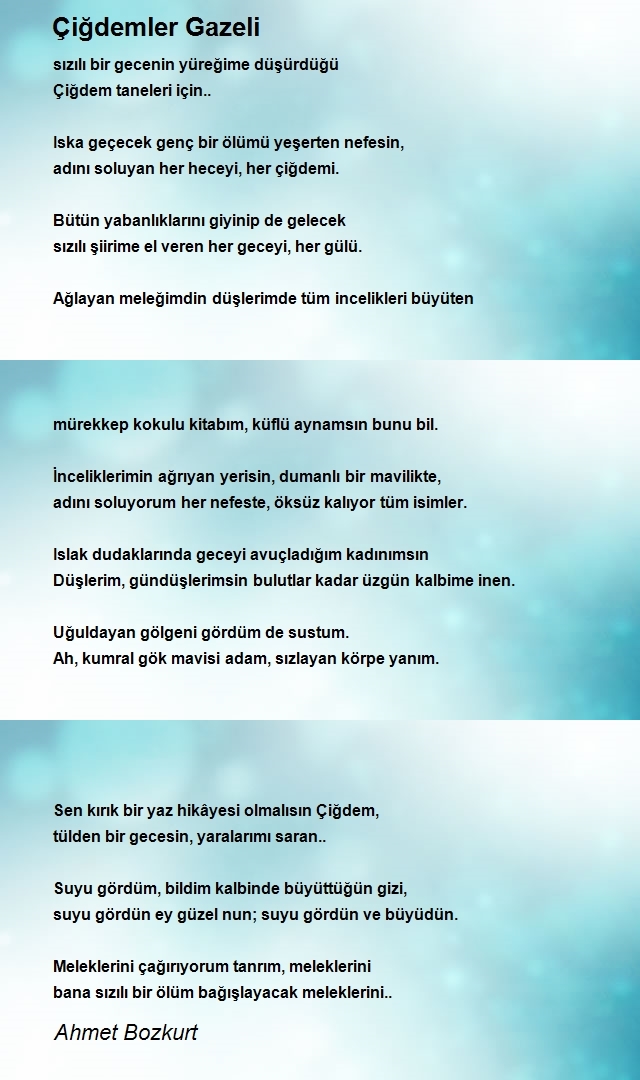 Ahmet Bozkurt