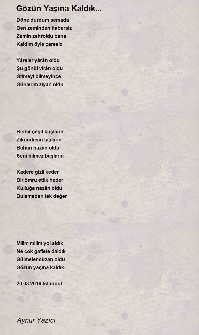 Aynur Yazıcı