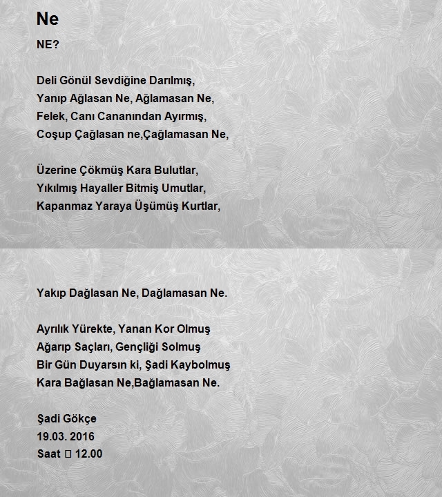Şadi Gökçe