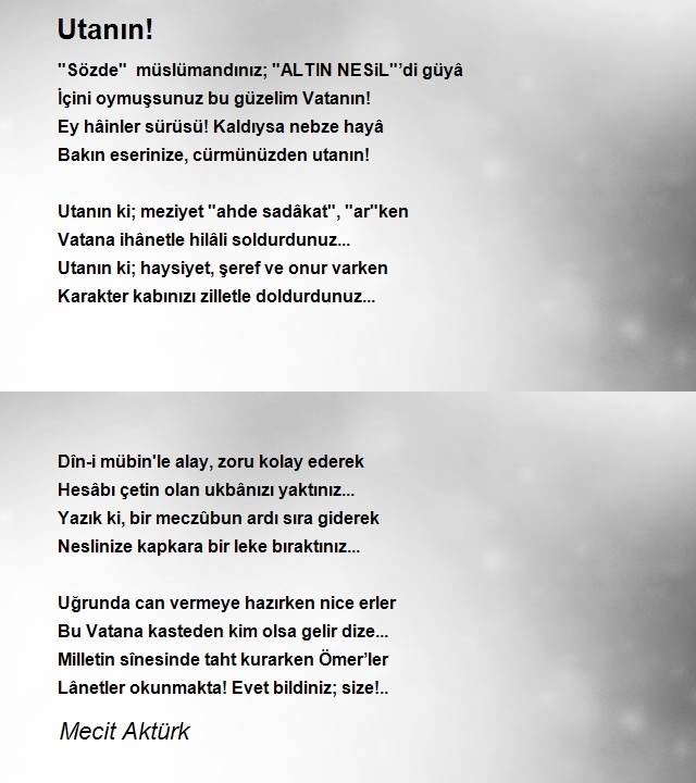Mecit Aktürk