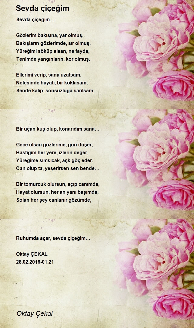 Oktay Çekal
