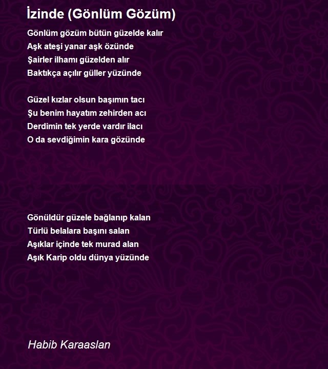 Habib Karaaslan