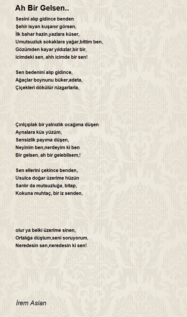 İrem Aslan