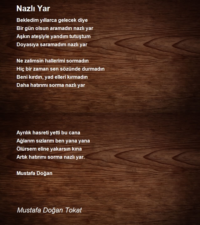 Mustafa Doğan Tokat