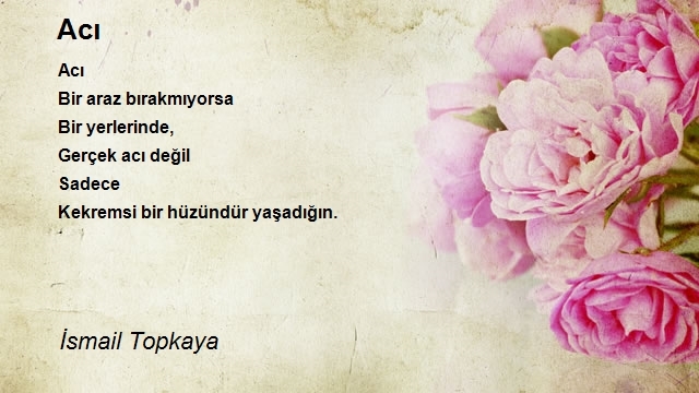 İsmail Topkaya