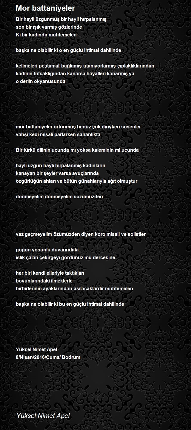 Yüksel Nimet Apel