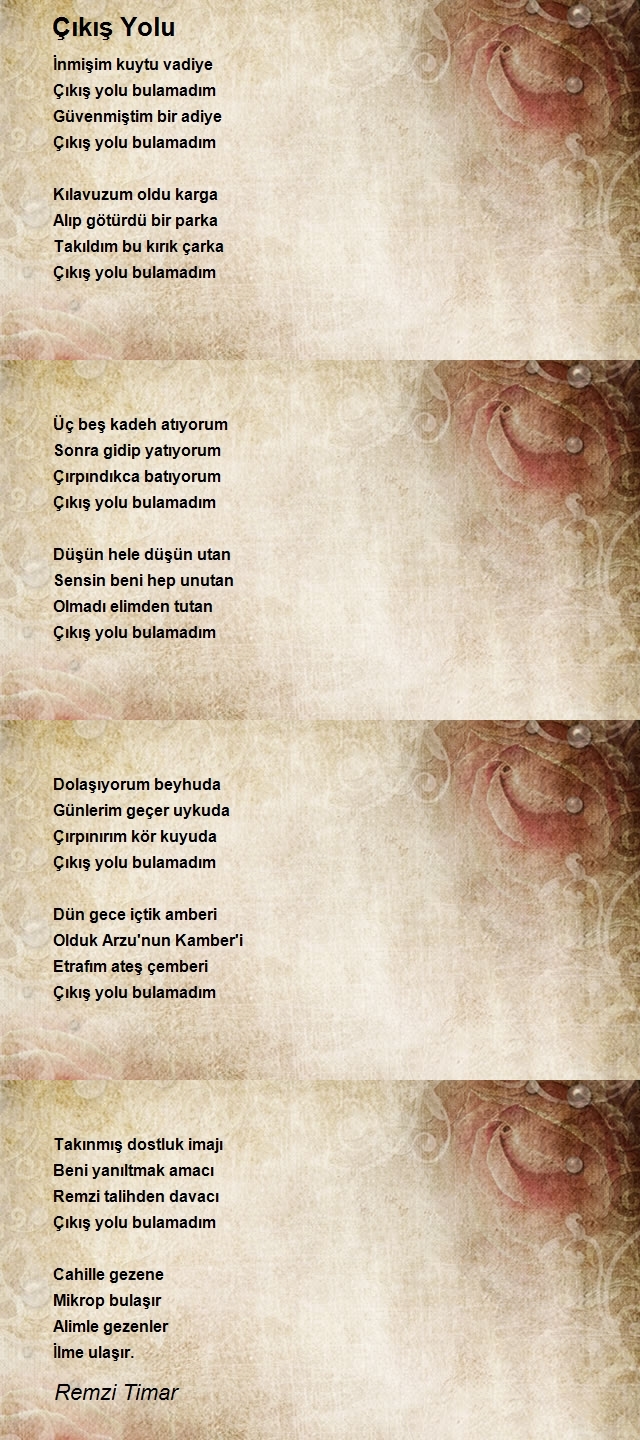 Remzi Timar