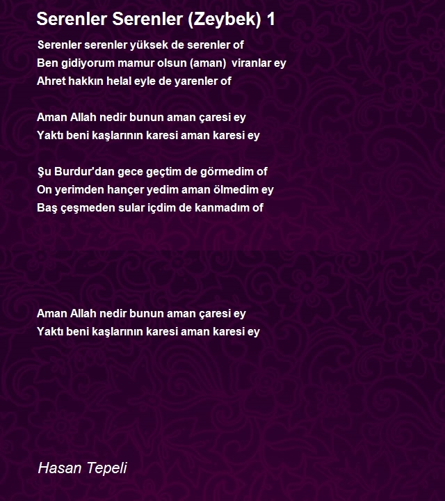 Hasan Tepeli