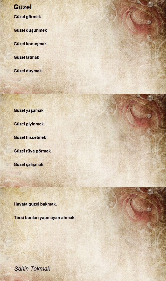 Şahin Tokmak