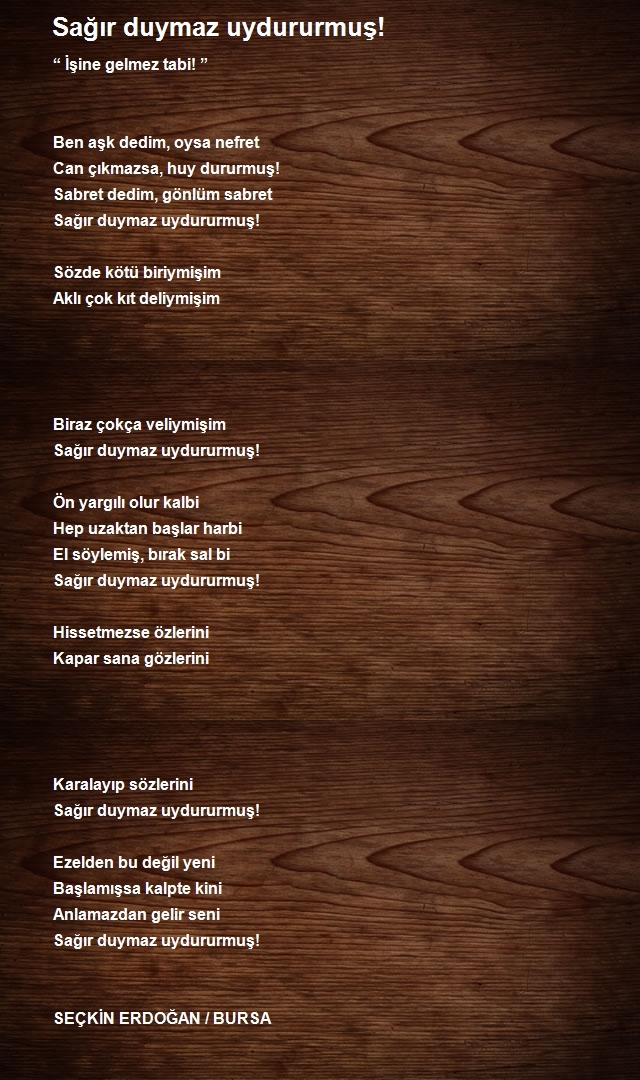 Seçkin Erdoğan