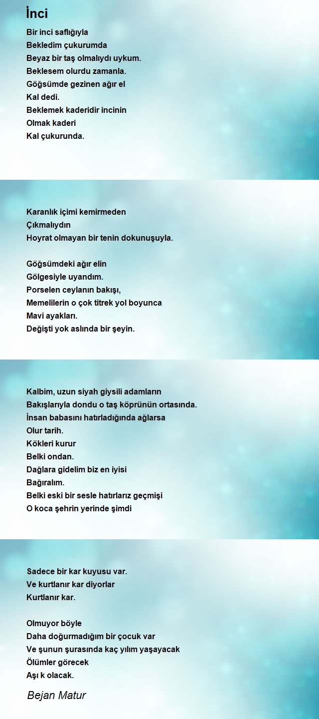 Bejan Matur