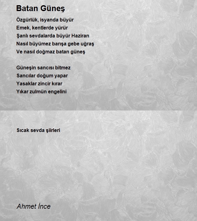 Ahmet İnce