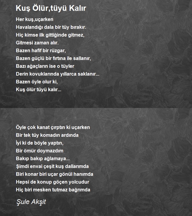 Şule Akşit