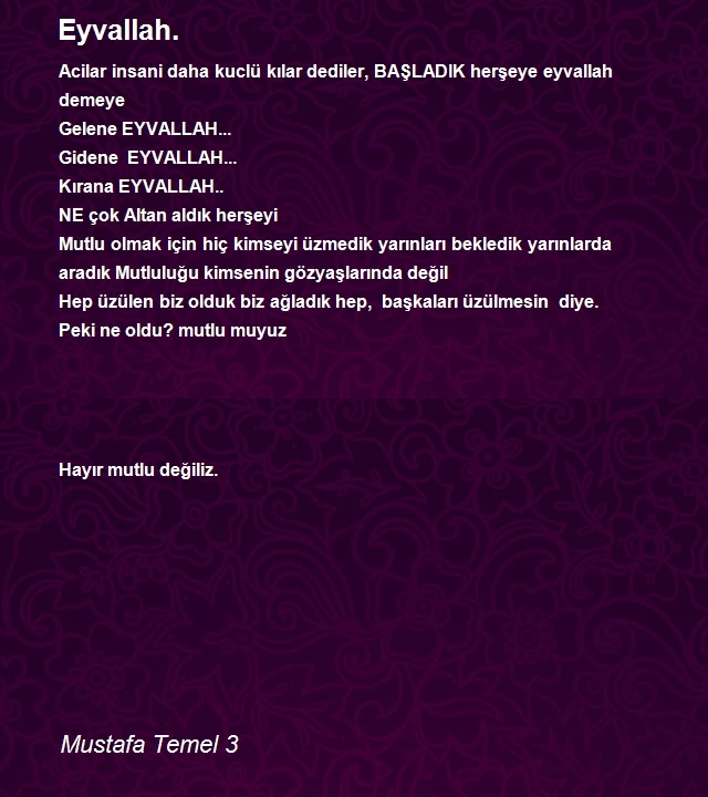 Mustafa Temel 3