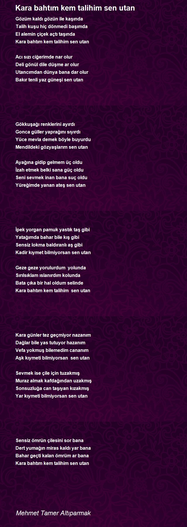 Mehmet Tamer Altıparmak