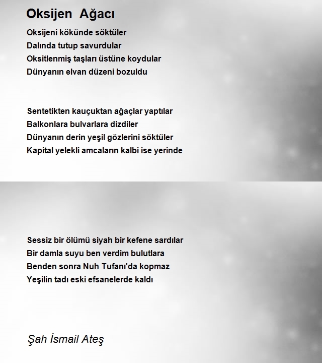Şah İsmail Ateş