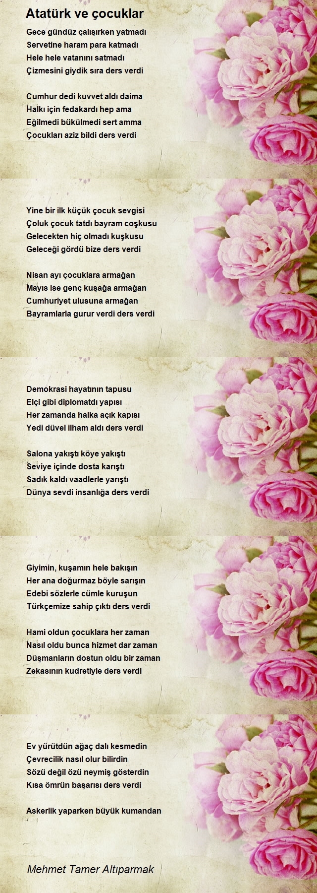 Mehmet Tamer Altıparmak