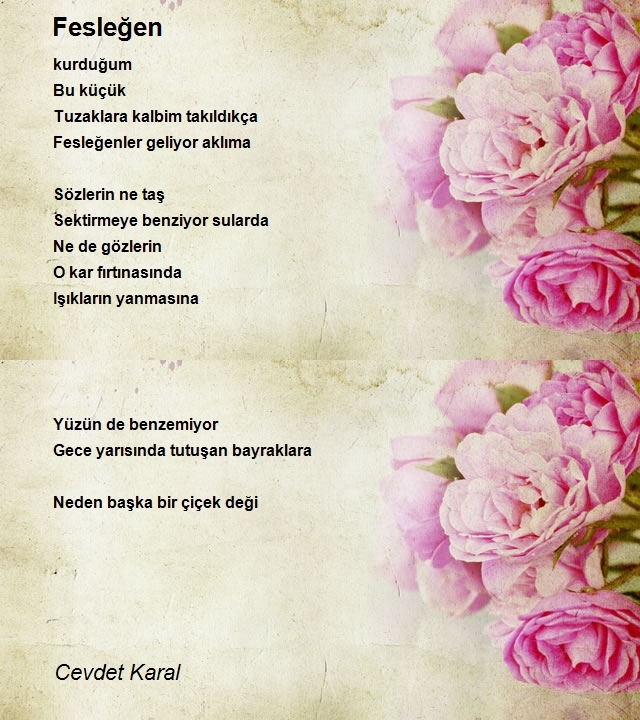 Cevdet Karal