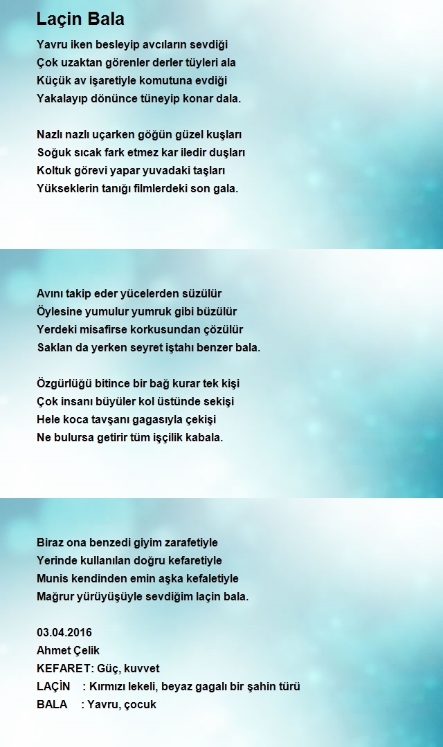 Ahmet Çelik