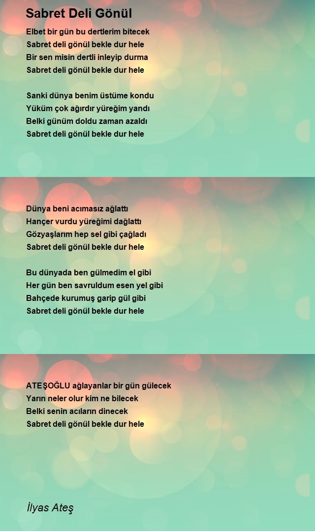 İlyas Ateş