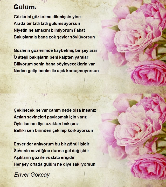 Enver Gokcay