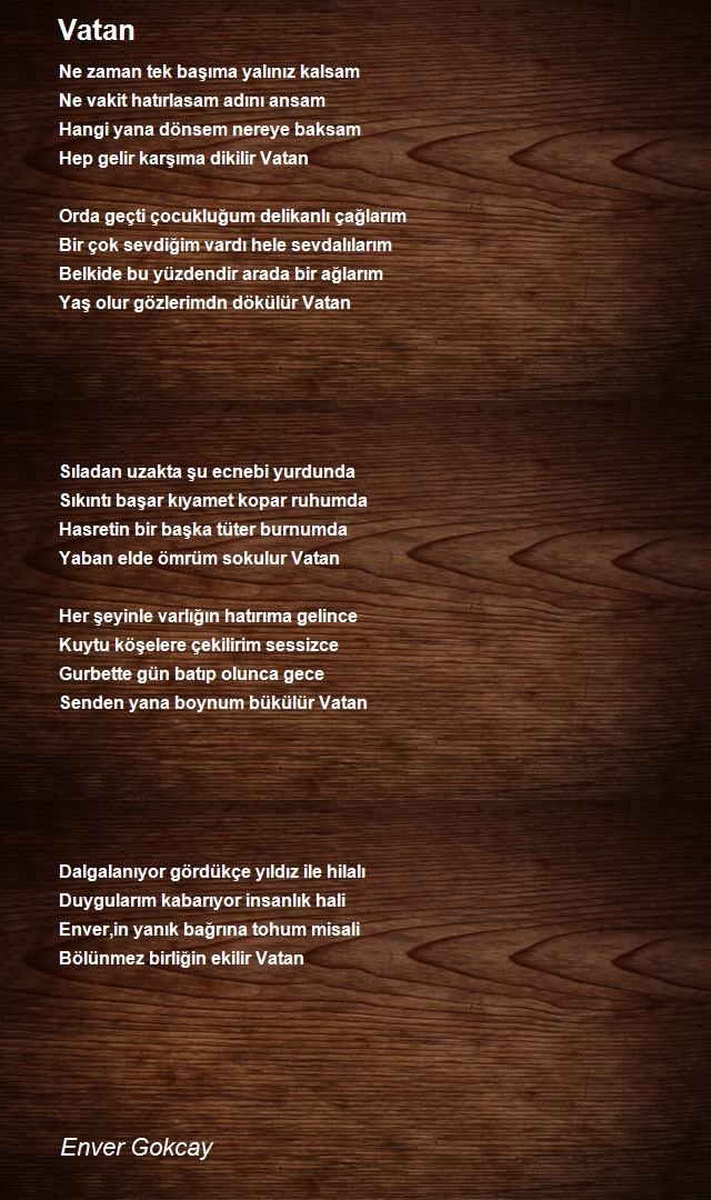 Enver Gokcay