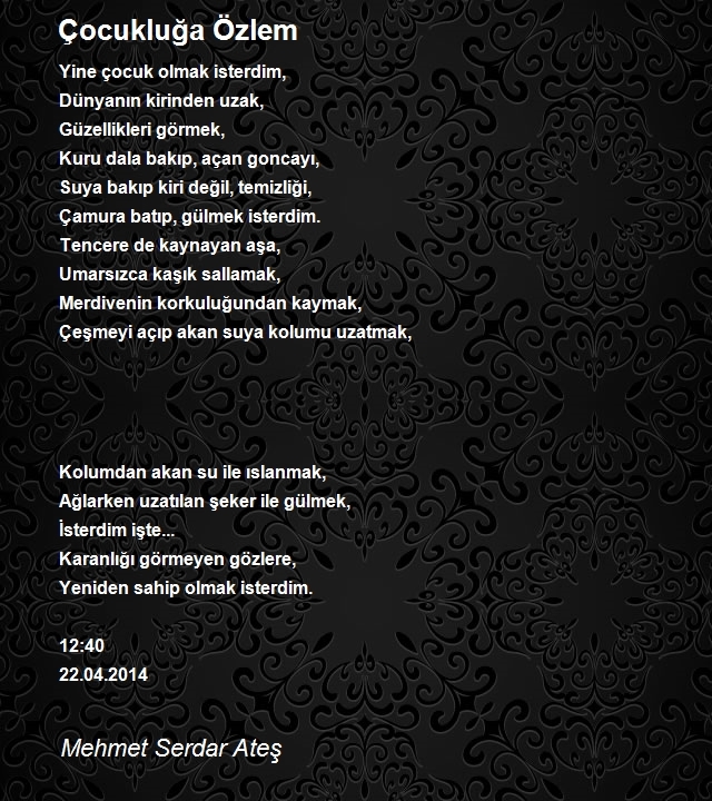 Mehmet Serdar Ateş