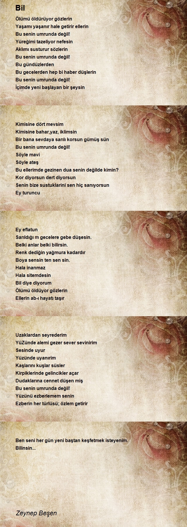 Zeynep Beşen