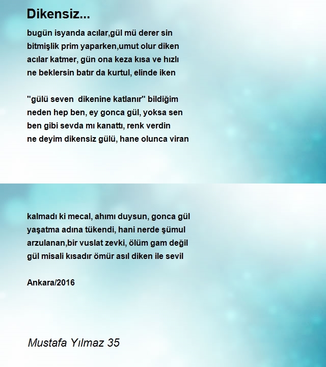 Mustafa Yılmaz 35