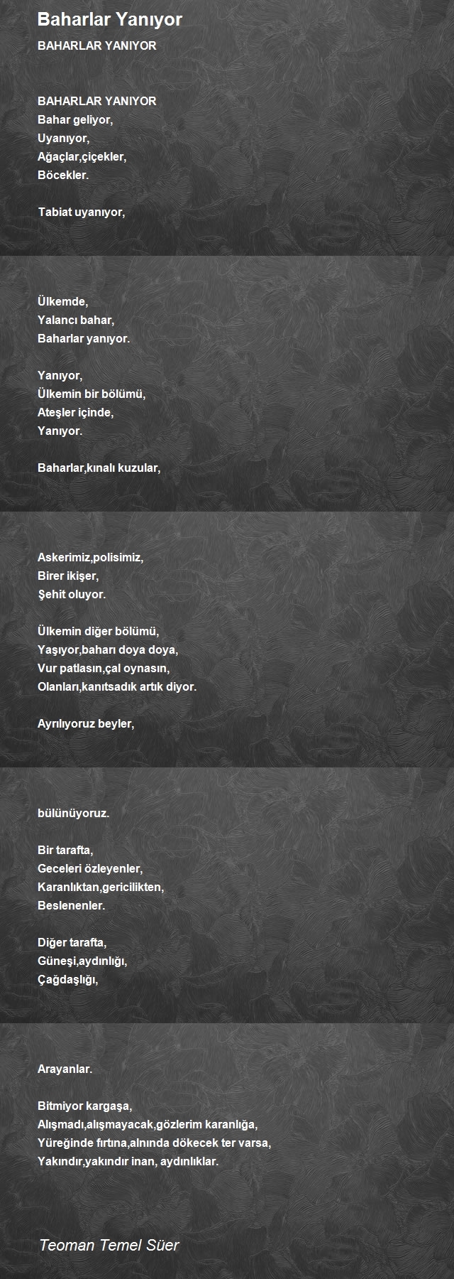 Teoman Temel Süer