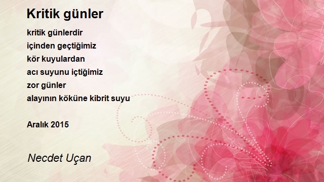 Necdet Uçan