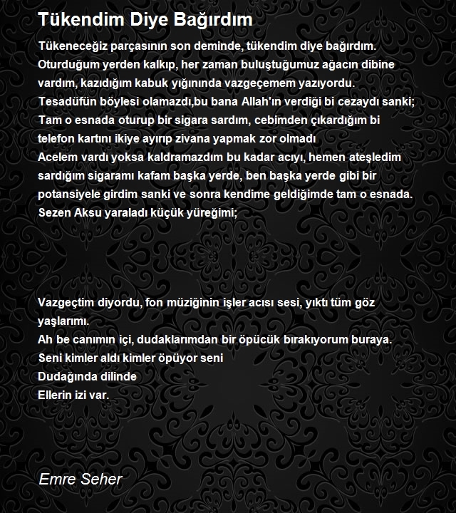Emre Seher