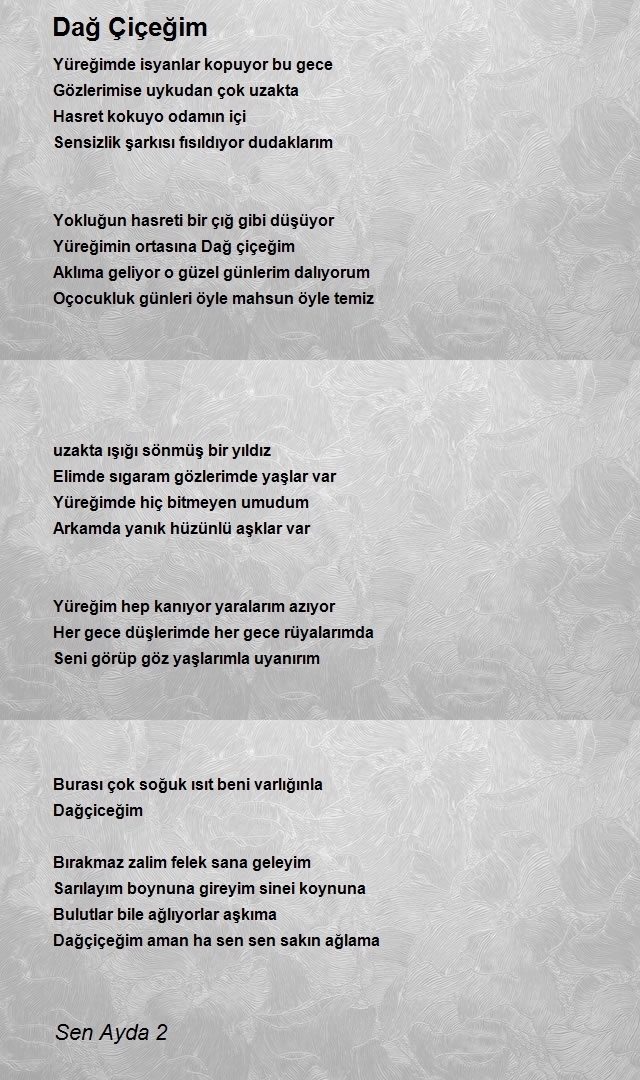 Sen Ayda 2