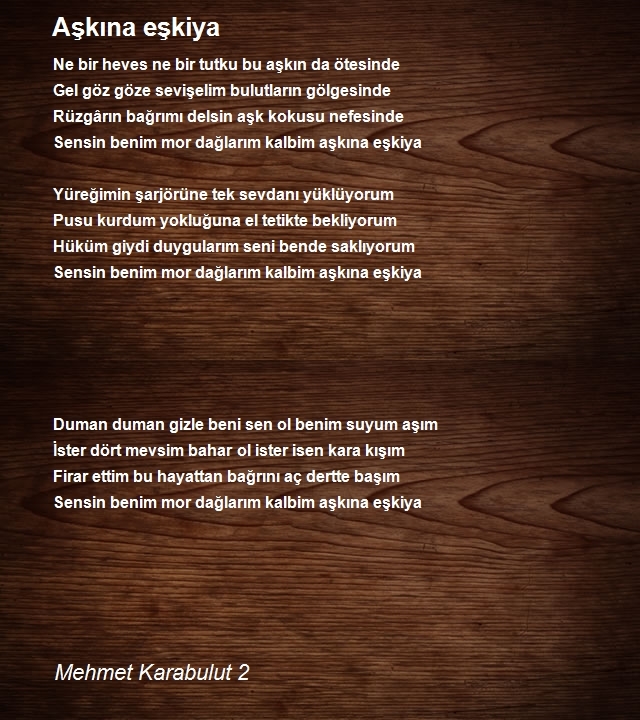 Mehmet Karabulut 2