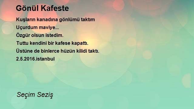 Seçim Seziş