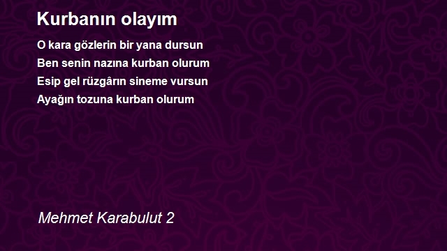 Mehmet Karabulut 2