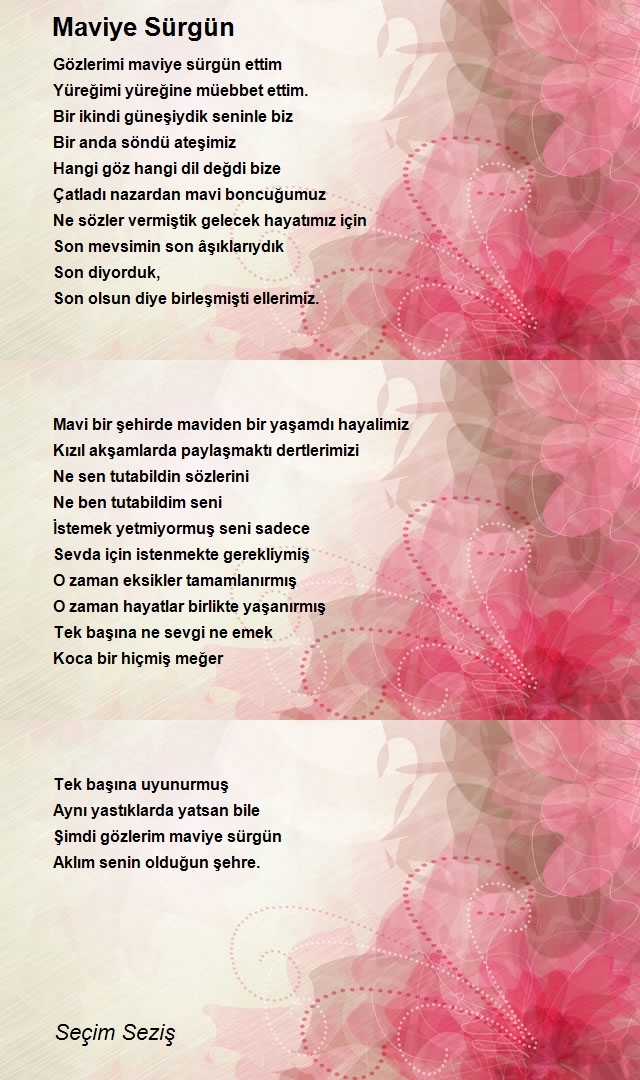 Seçim Seziş