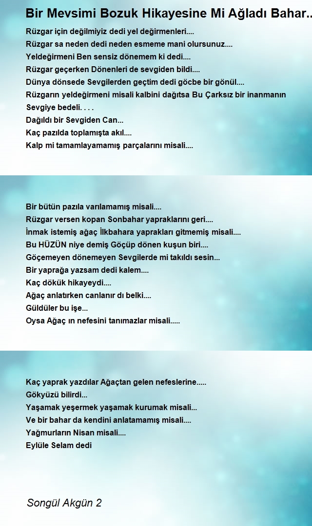 Songül Akgün 2