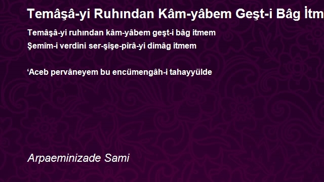 Arpaeminizade Sami