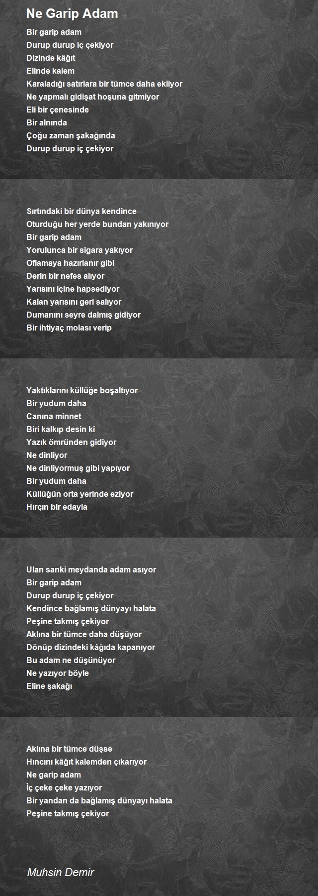 Muhsin Demir