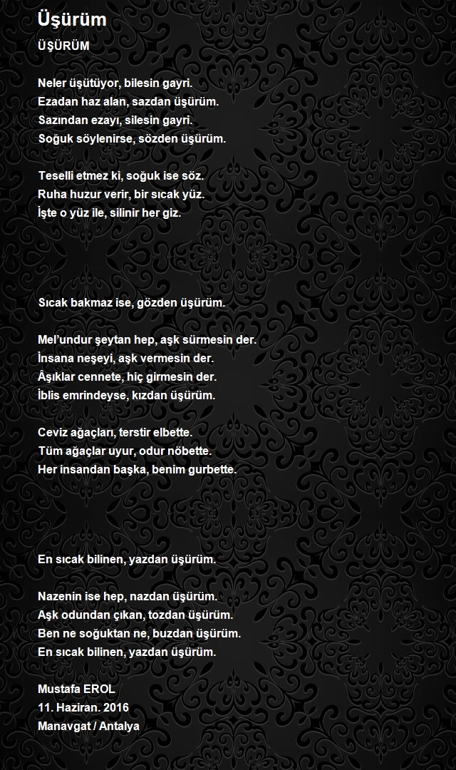 Mustafa Erol