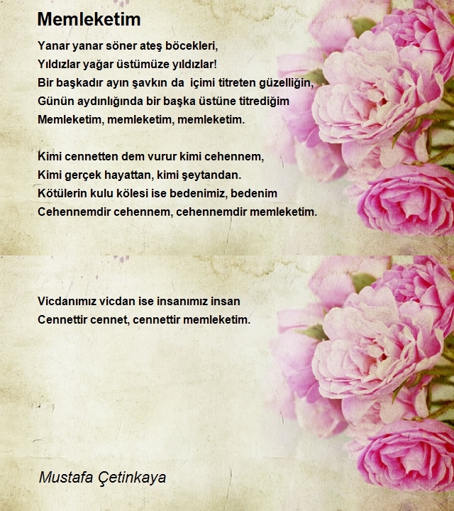 Mustafa Çetinkaya