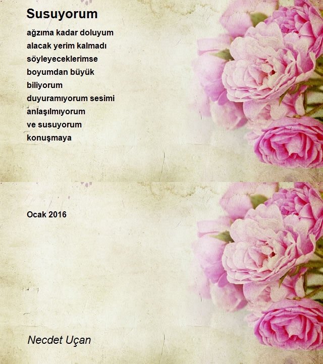 Necdet Uçan