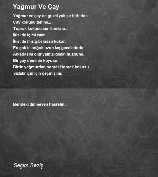 Seçim Seziş