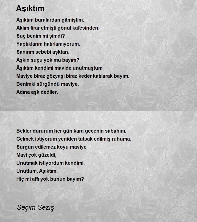 Seçim Seziş